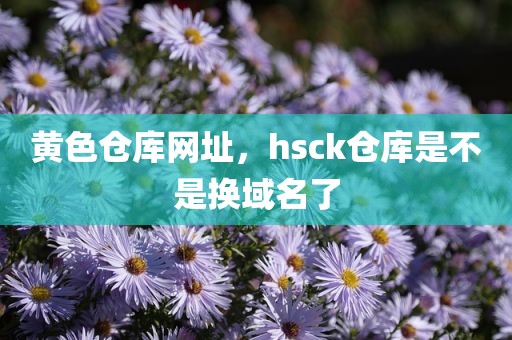 黄色仓库网址，hsck仓库是不是换域名了