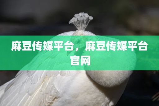 麻豆传媒平台，麻豆传媒平台官网