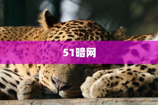 51暗网
