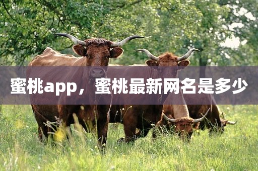 蜜桃app，蜜桃最新网名是多少