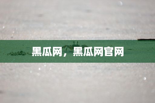 黑瓜网，黑瓜网官网