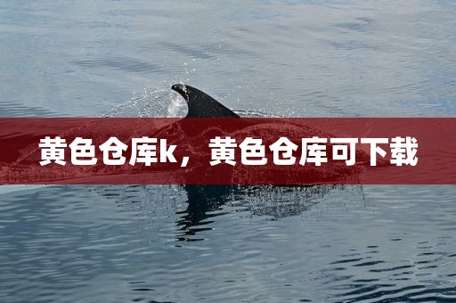 黄色仓库k，黄色仓库可下载