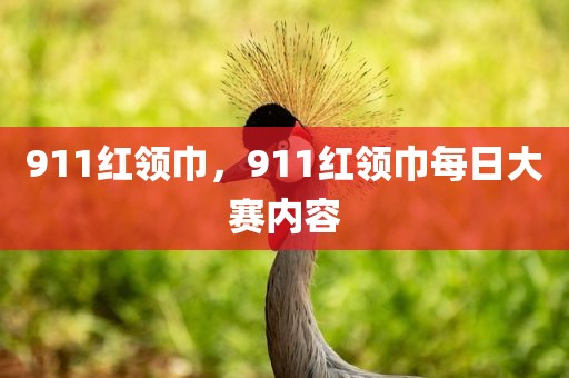 911红领巾，911红领巾每日大赛内容