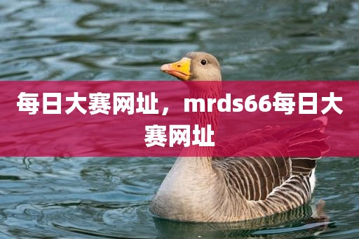 每日大赛网址，mrds66每日大赛网址