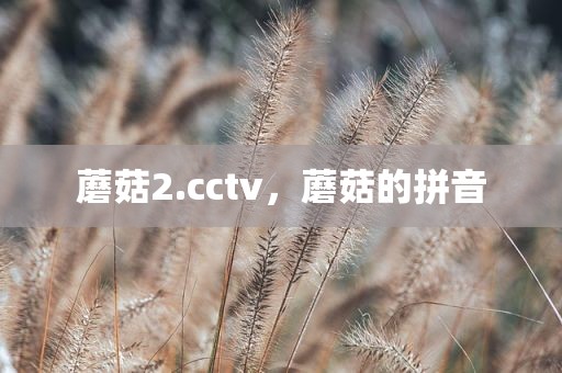 蘑菇2.cctv，蘑菇的拼音
