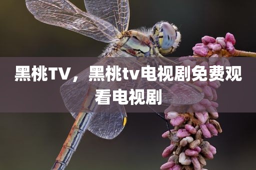黑桃TV，黑桃tv电视剧免费观看电视剧