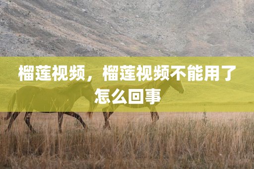 榴莲视频，榴莲视频不能用了怎么回事
