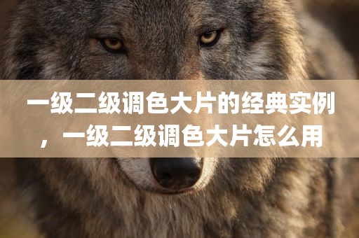 一级二级调色大片的经典实例，一级二级调色大片怎么用