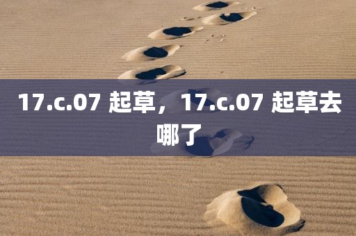 17.c.07 起草，17.c.07 起草去哪了
