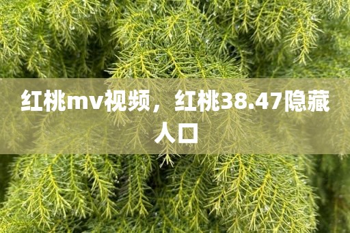 红桃mv视频，红桃38.47隐藏人口