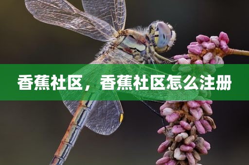 香蕉社区，香蕉社区怎么注册
