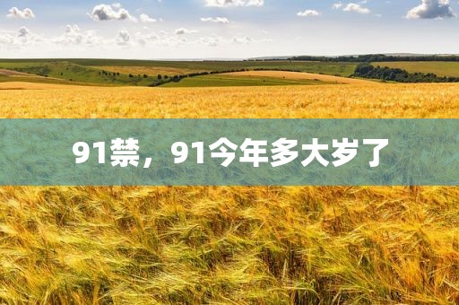 91禁，91今年多大岁了