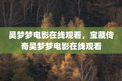 吴梦梦电影在线观看，宝藏传奇吴梦梦电影在线观看