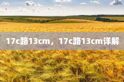 17c路13cm，17c路13cm详解