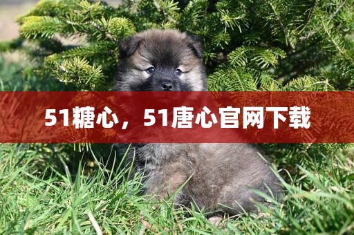 51糖心，51唐心官网下载