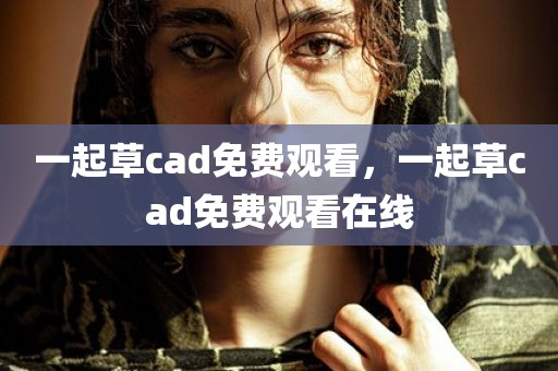 一起草cad免费观看，一起草cad免费观看在线