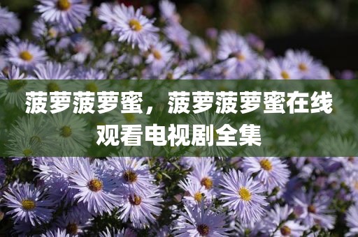 菠萝菠萝蜜，菠萝菠萝蜜在线观看电视剧全集