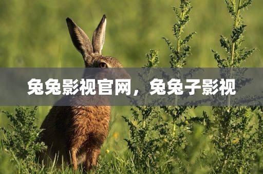 兔兔影视官网，兔兔子影视