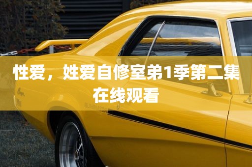 性爱，姓爱自修室弟1季第二集在线观看