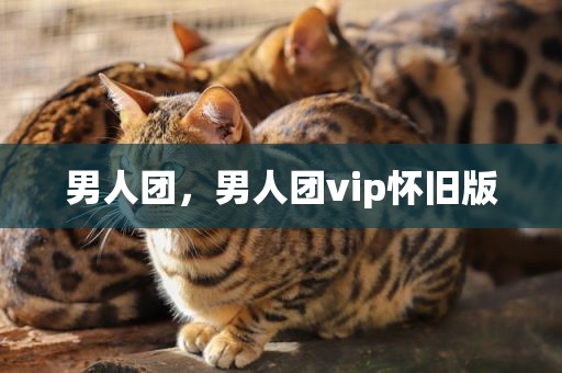 男人团，男人团vip怀旧版