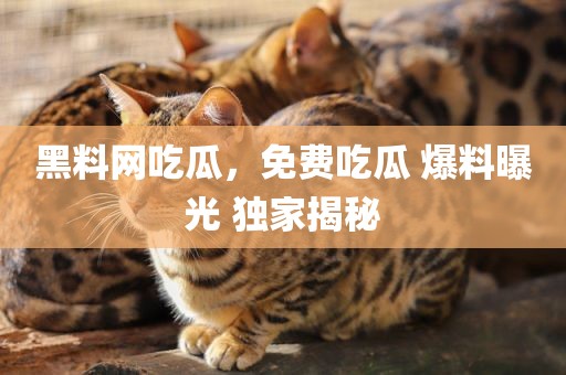 黑料网吃瓜，免费吃瓜 爆料曝光 独家揭秘