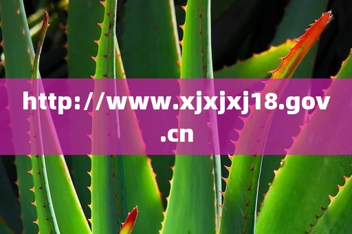http://www.xjxjxj18.gov.cn