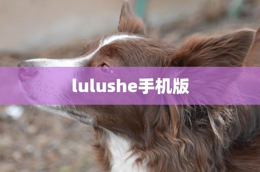 lulushe手机版