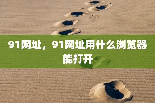 91网址，91网址用什么浏览器能打开