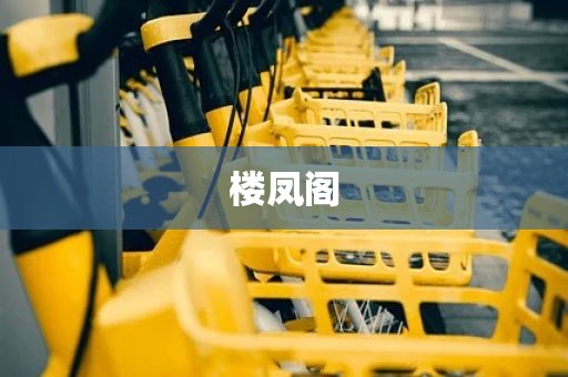 楼凤阁