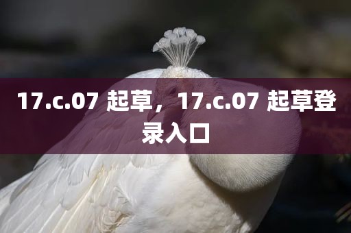 17.c.07 起草，17.c.07 起草登录入口
