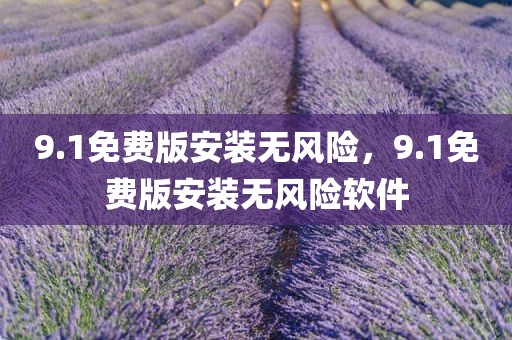 9.1免费版安装无风险，9.1免费版安装无风险软件