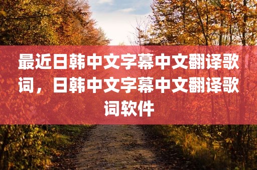 最近日韩中文字幕中文翻译歌词，日韩中文字幕中文翻译歌词软件