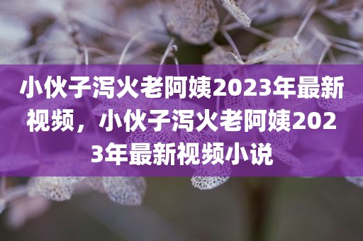 小伙子泻火老阿姨2023年最新视频，小伙子泻火老阿姨2023年最新视频小说