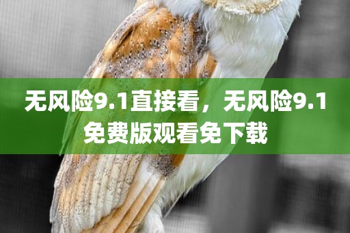 无风险9.1直接看，无风险9.1免费版观看免下载