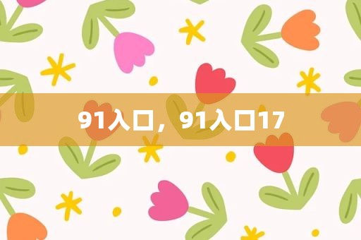 91入口，91入口17