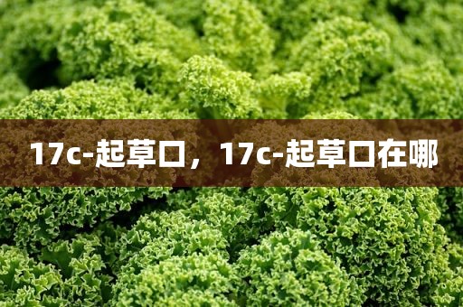17c-起草口，17c-起草口在哪