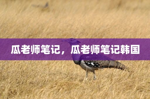 瓜老师笔记，瓜老师笔记韩国