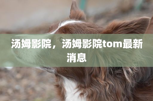 汤姆影院，汤姆影院tom最新消息