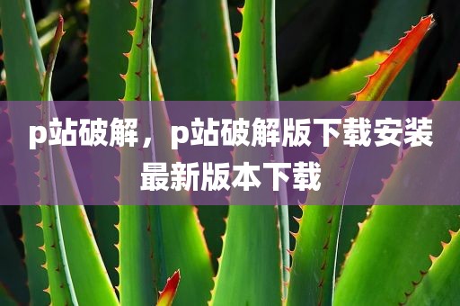 p站破解，p站破解版下载安装最新版本下载