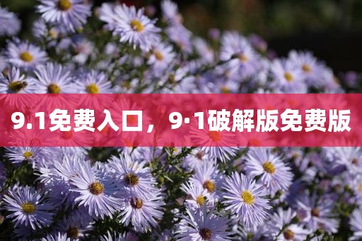 9.1免费入口，9·1破解版免费版