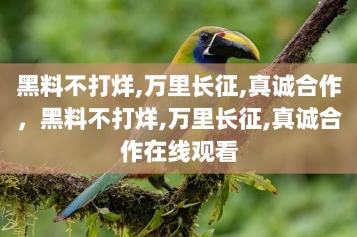 黑料不打烊,万里长征,真诚合作，黑料不打烊,万里长征,真诚合作在线观看