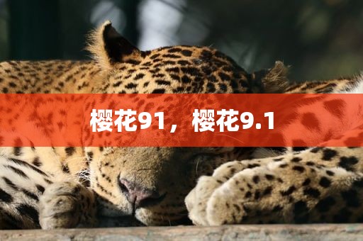 樱花91，樱花9.1