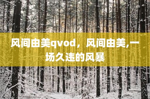风间由美qvod，风间由美,一场久违的风暴