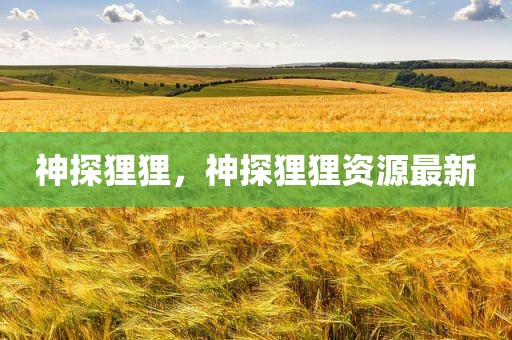 神探狸狸，神探狸狸资源最新