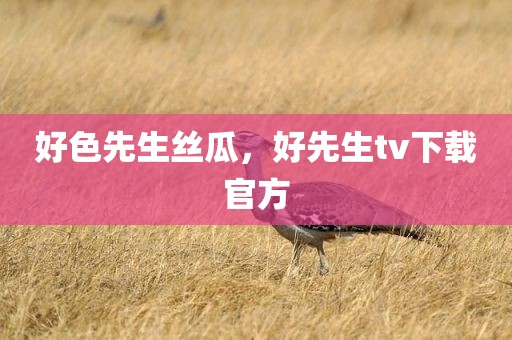 好色先生丝瓜，好先生tv下载官方