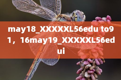 may18_XXXXXL56edu to91，16may19_XXXXXL56edui