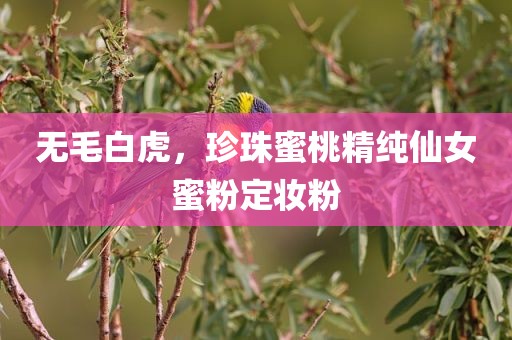 无毛白虎，珍珠蜜桃精纯仙女蜜粉定妆粉