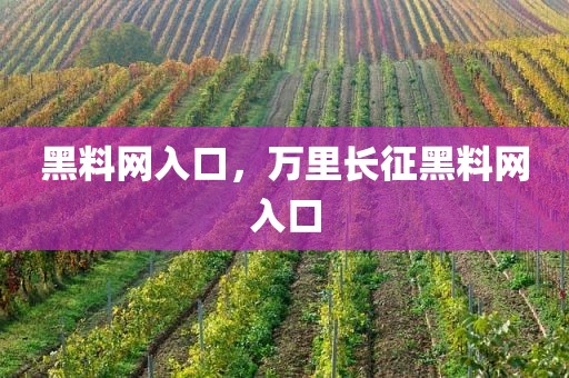 黑料网入口，万里长征黑料网入口