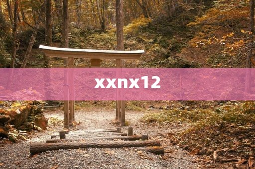 xxnx12