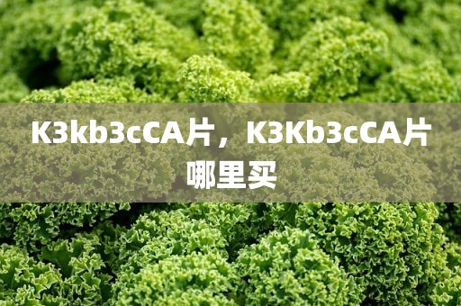 K3kb3cCA片，K3Kb3cCA片哪里买